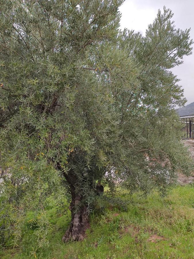 Casa Jabero Villa Nívar Dış mekan fotoğraf